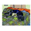 Nonette «Starsky», impression sur toile tendue-30394592