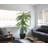 Panama 63 " H Faux Palm Tree in Stone Planter