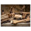 Outils de menuiserie rétro, impression sur toile - Outils de menuiserie-380301004