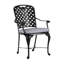 Provance Patio Dining Armchair with Cushion-83260217-83260218-83260228