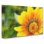 Bright Yellow Flower - Wrapped Canvas-61848496