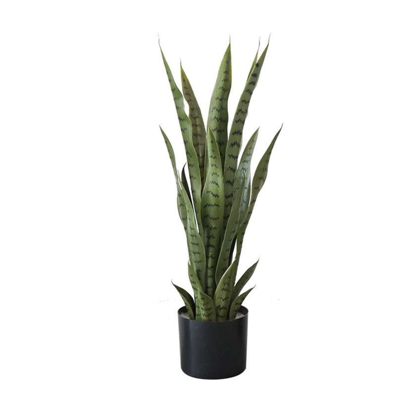 70cm Plant