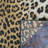 Ehren Leopard Animal Print New Gold Indoor Outdoor Area Rug-67947440