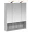 W H Wall Mounted Required Medicine Cabinet Mirror 2-1072544246-1072544241