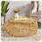 Mesh Coffee Table Functional Stylish Versatile Practical Modern Elegant Compact Simple
