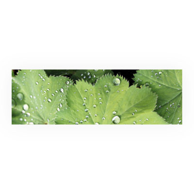 Rieger 45cm W x 140cm L Metal Peel and Stick Panel