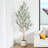 Adcock 72" Artificial Olive Tree with White Planter, Tall Faux Olive Trees with Natural Wood Trunk-1995335717