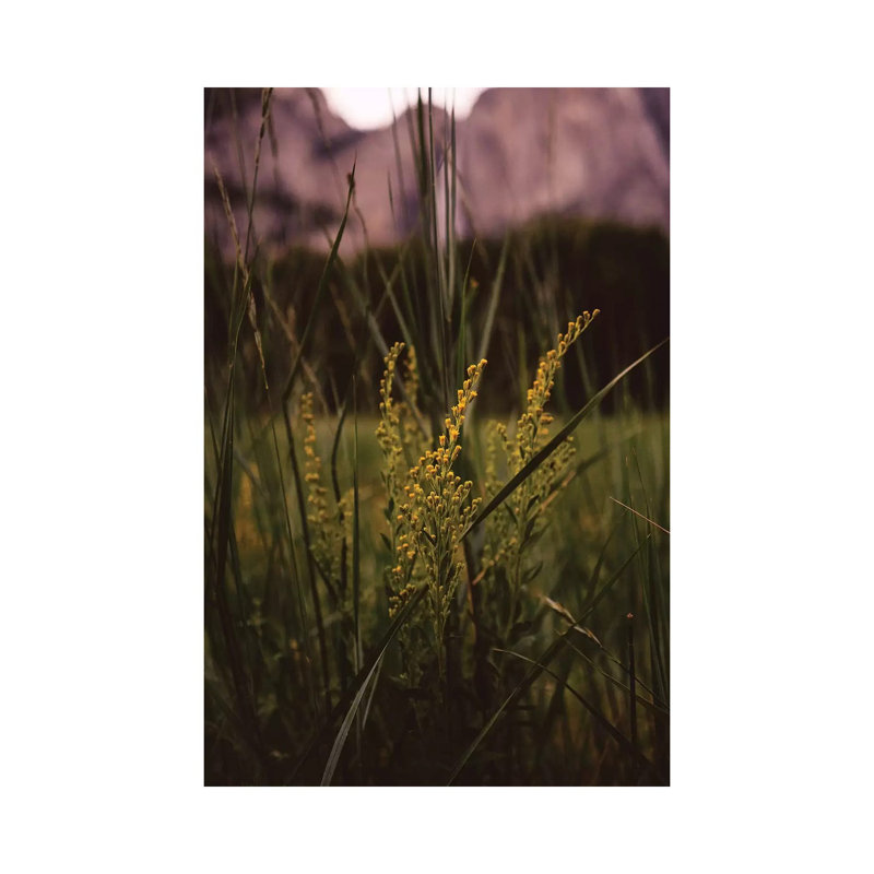 «Yosemite Valley II» par Bethany Young, reproduction de photo sur toile tendue, H 26 po x l 18 po x 1,5 po