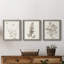 Neutral Botanical Study IV - Ensemble de 3 peintures sur toile encadrées-95259188-95259186