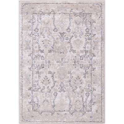 Aerilyn Ikat Indoor Rug