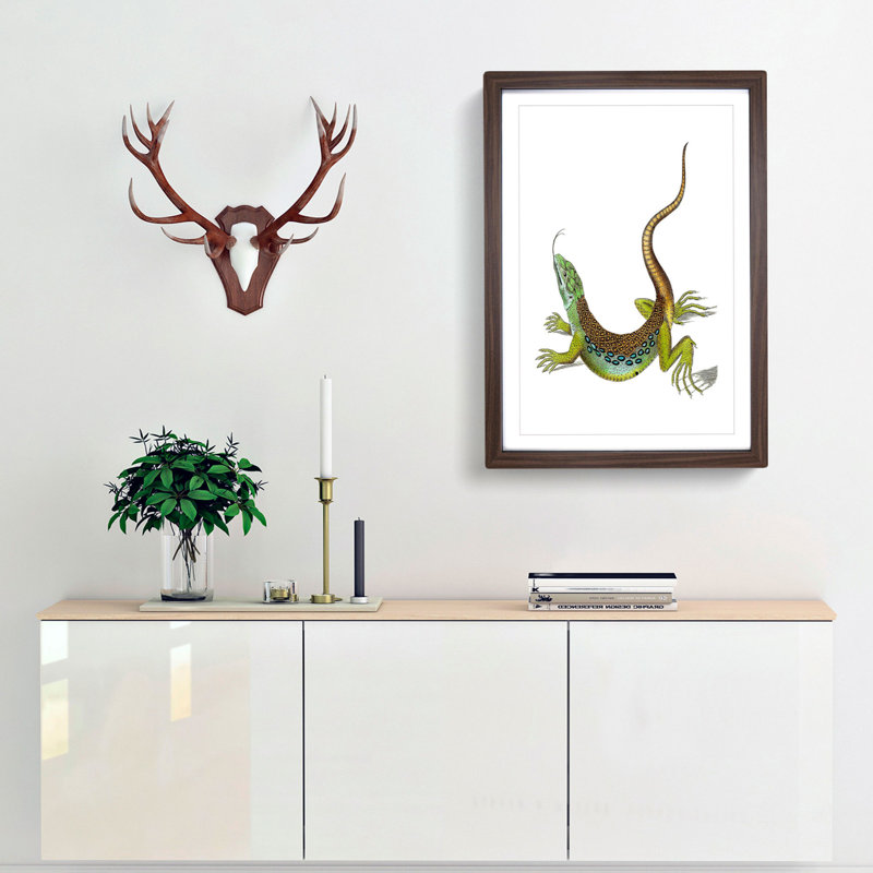 Great-Spotted Lizard by George Shaw - Picture Frame Painting Print, Walnut Framed, 36cm H x 27cm W x 2cm D