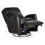 Dunsten Swivel Recliner-1494253841