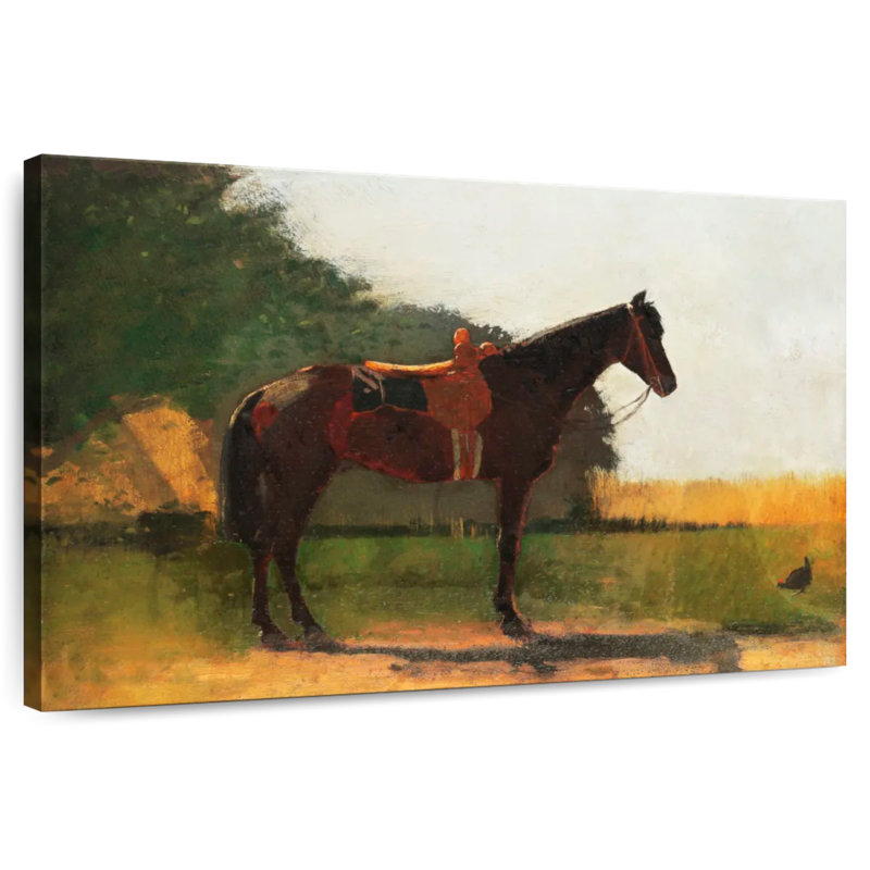 Saddle Horse In Farm Yard