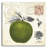 " Apple Notes " Print-1919720999