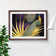 Captivating Peacock - Single Picture Frame Print