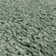 Taiwo Shaggy Sage Area Rug