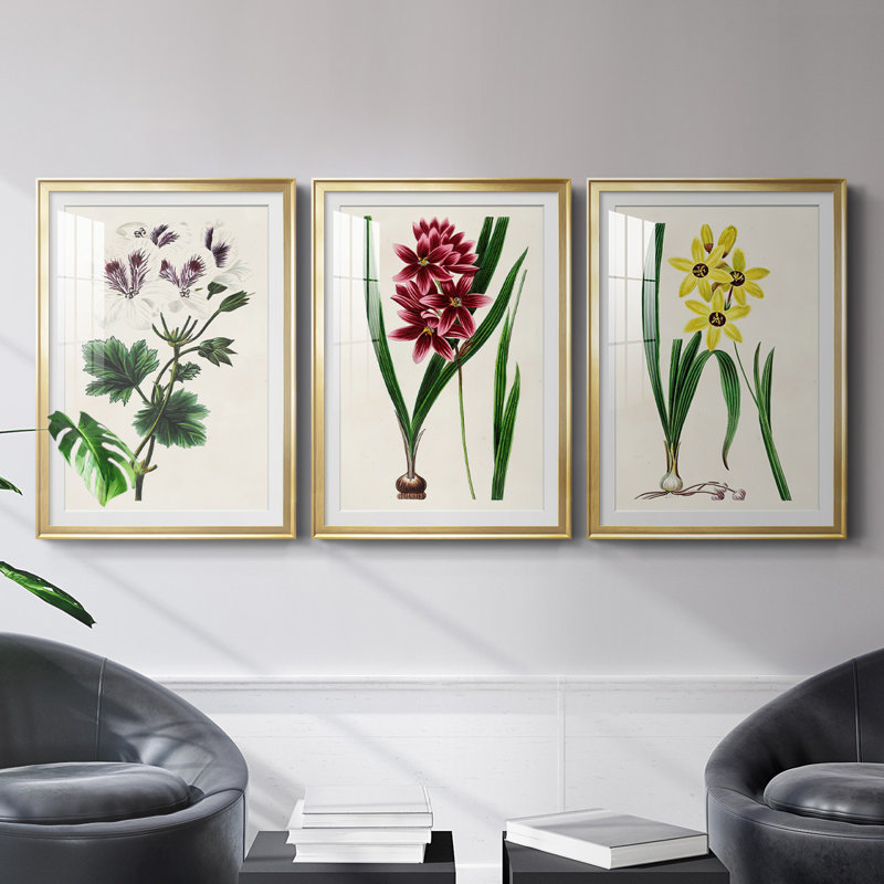 Reproduction encadrée antique de qualité florale antique - prête à être accrochée, Or, H 42,5 po x l 91,5 po x P 1,25 po
