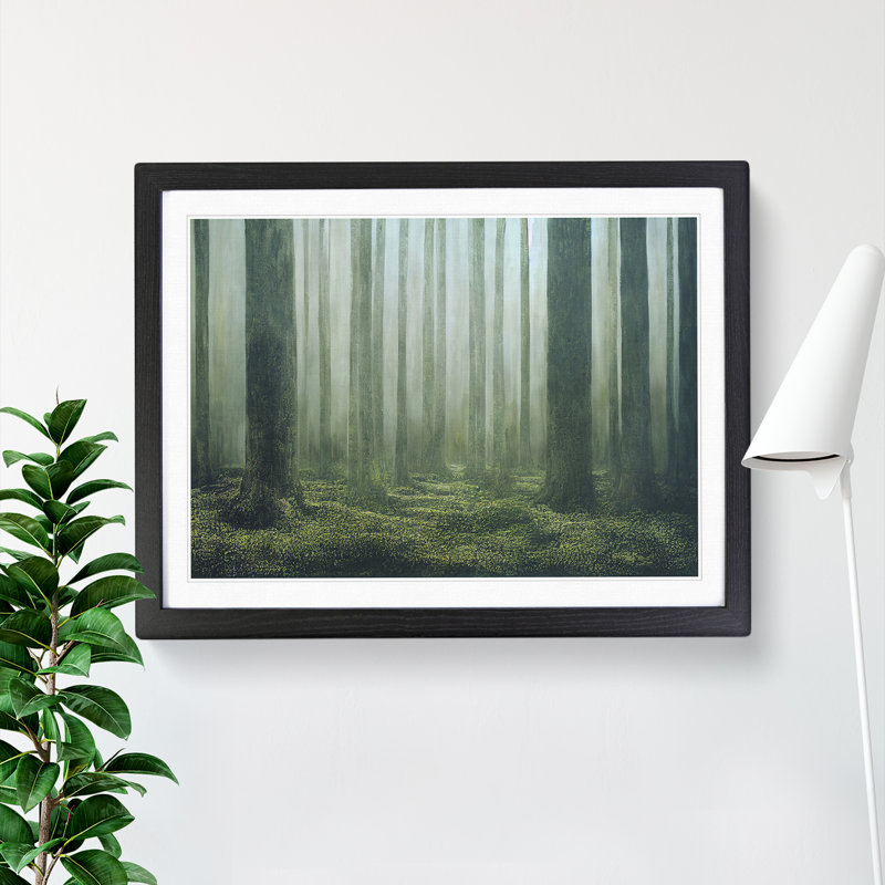 Impressive Forest - Single Picture Frame Print, Black, 46cm H x 64cm W x 2cm D