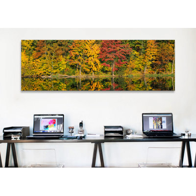 " Reflection Of Trees In WaterSaratoga Springs, New York City, New York State, USA " by Panoramic Images