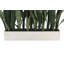 27" Potted Snake Plant - Natural-2116599305