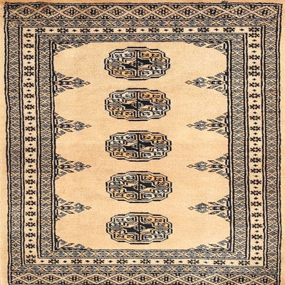 Oriental Indoor Rug