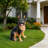 Outdoor Dog Statue