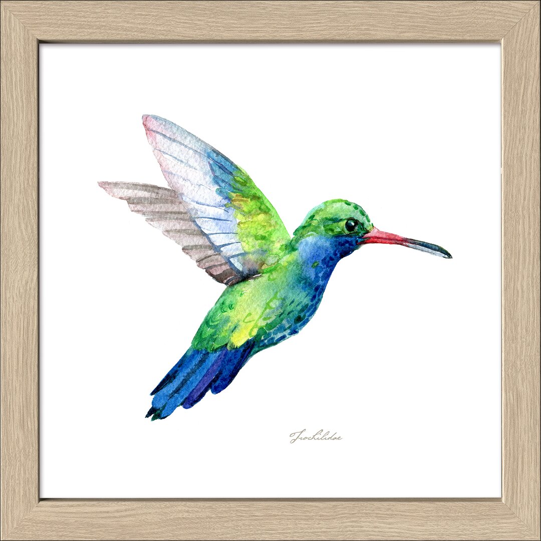 Gerahmtes Poster Green Bird