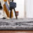 Evanoff 262 Area Rug In Grey / Black-650989664