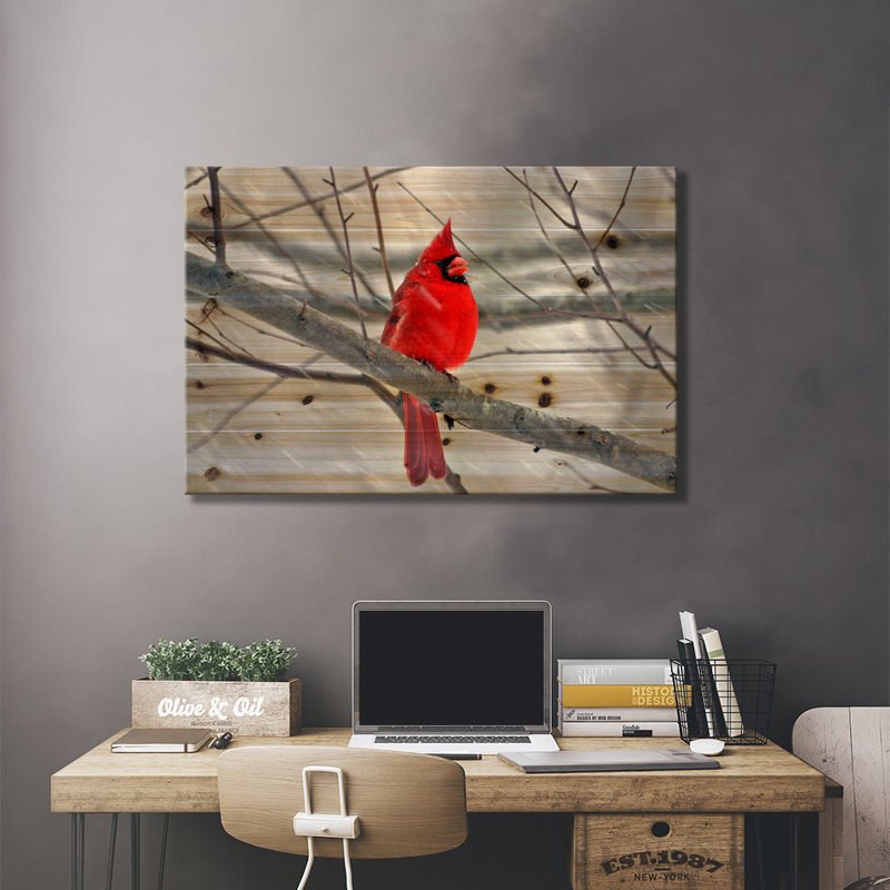 «Cardinal Bird», impression, Toile, H 18 po x l 26 po x P 1,5 po