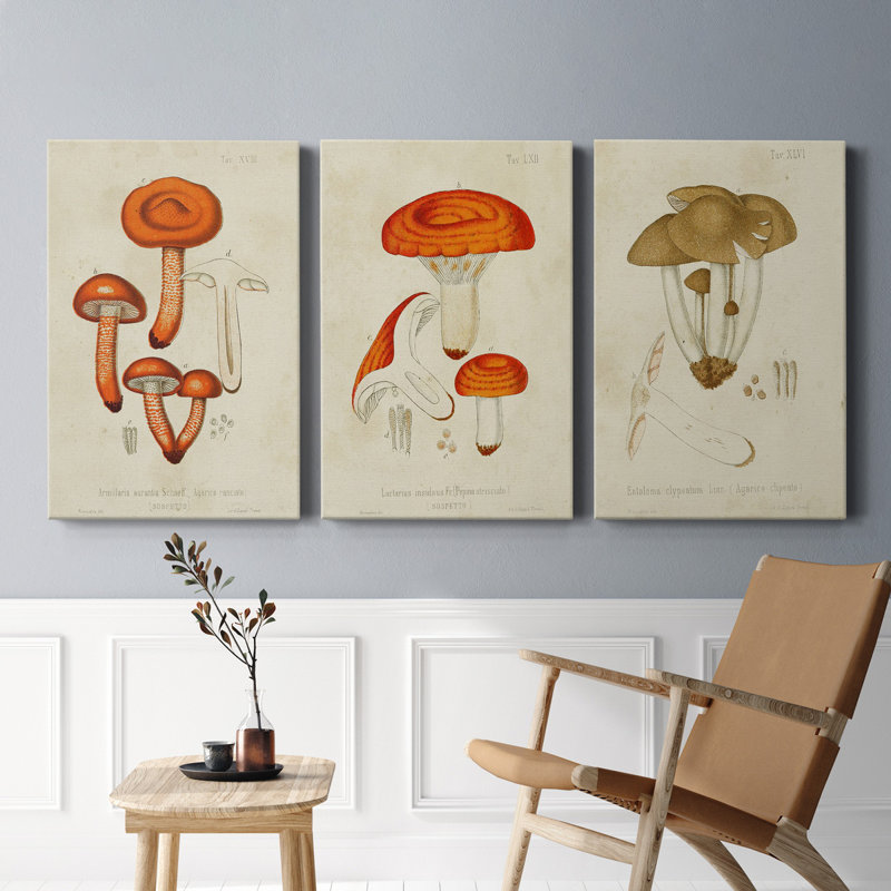 Toile tendue avec châssis Mushroom Variétés IV - prêt à accrocher, H 18 po x l 36 po x P 1 po