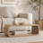 Modern Open-Frame Elegant Curved Light Wood Coffee Table With Open Storage