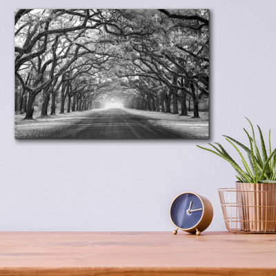 Epic Art 'Wormsloe Inf Light' By Mike Jones, Acryl " Wormsloe Inf Light " by Mike Jones