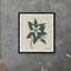 Orange Blossom Print-1389242558