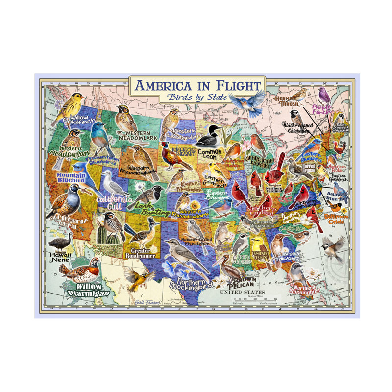 Wrapped Canvas Wall Art - Gail Fraser 'America in Flight' Wall Art for Living Room, Bedroom, or Office Décor  - 35x47