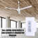 Doyle 48'' Ceiling Fan