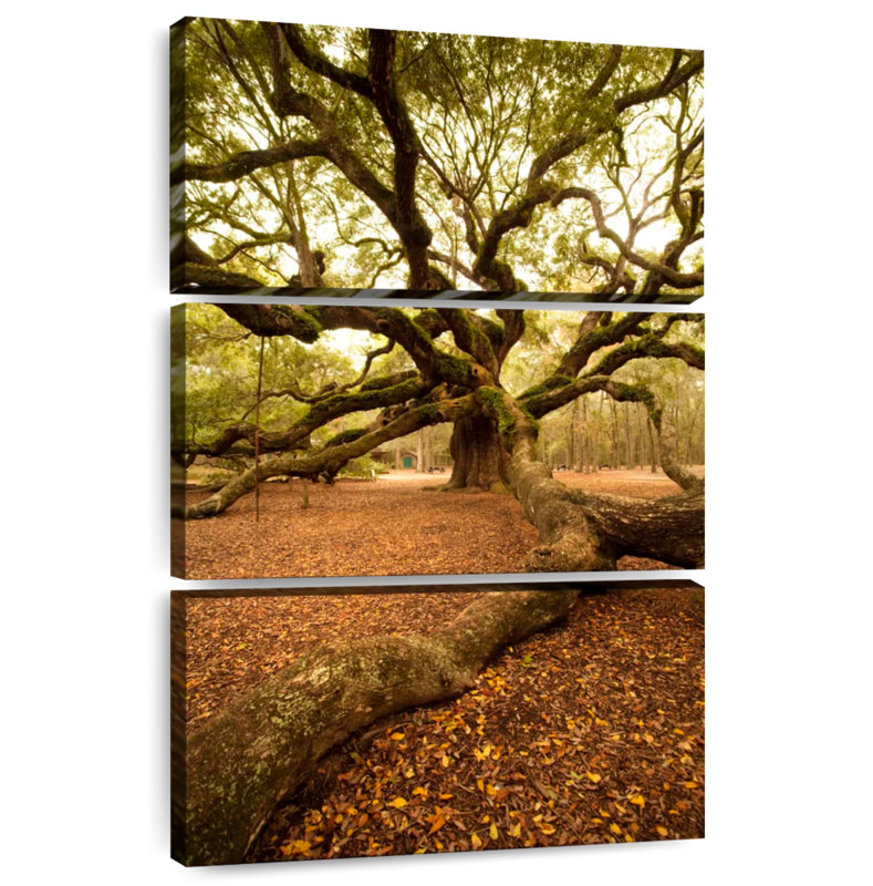 Chêne antique Harnek Charleston, H 65 po x l 42 po