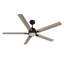 Ventilateur de plafond standard intelligent 60 pouces à 5 pales de 60 po avec ensemble d'éclairage inclus, télécommande -894225140