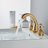 2-handle Bathroom Faucet with Drain Assembly-93389871