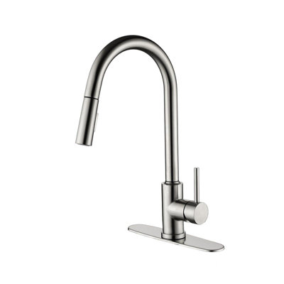Pull Down Kitchen Faucet Sprayer | Gift Idea