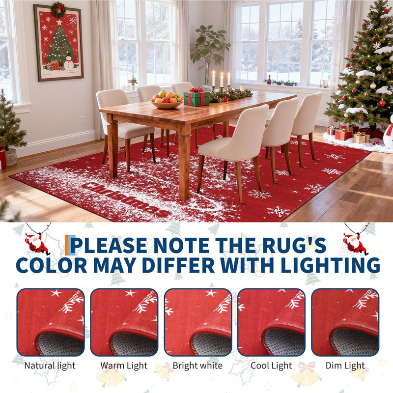 Washable Area Rug, 40*60cm