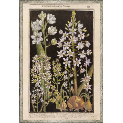 Botanicals fond noir - reproduction de cadre photo