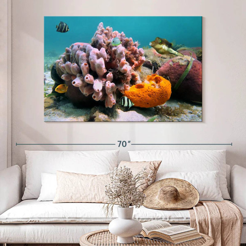 Éponge de mer rose Brampt, H 34 po x l 51 po