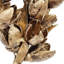 2 Piece Bakuli Pine Stick   Set of 6   23.5"   Gold