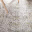 Emerie Oriental Hand Woven Area Rug