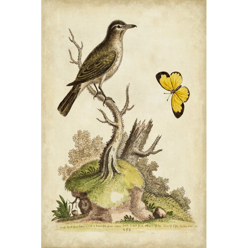 Companions In Nature I by George Edwards - Wrapped Canvas Painting, 46cm H x 30cm W x 3.8cm D