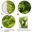 «Green Minimalist Herbal Harmony II - Floral Herbs», art mural-37992887-37992882