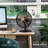 46cm Oscillating Table Fan-50285607