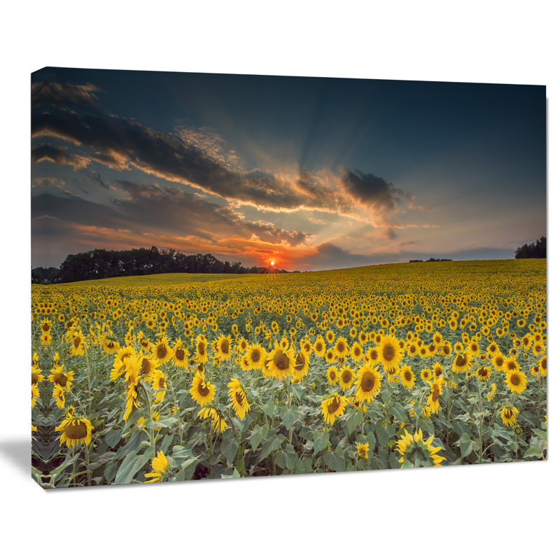 Coucher de soleil avec ciel nuageux Hedy par Jeb Buchman, H 16 po x l 32 po, Toile tendue