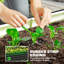 Raised Garden Bed-1044140790-1044140788-1044140786