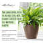 Pot à fleurs rond en plastique avec indicateur de niveau d'eau Classico Color 28 pour intérieur et extérieur, muscade-1611754260-1611754261